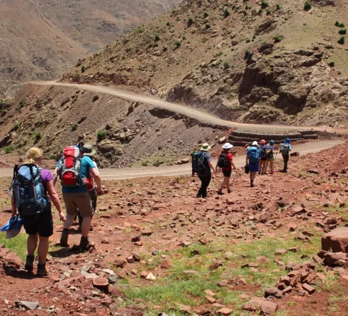 14228406566_e9ac46e027_o